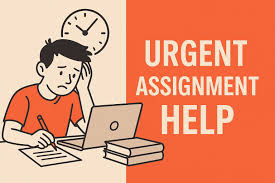 Urgent Assignment Help