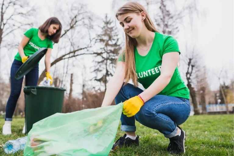 Green Cleaning Services