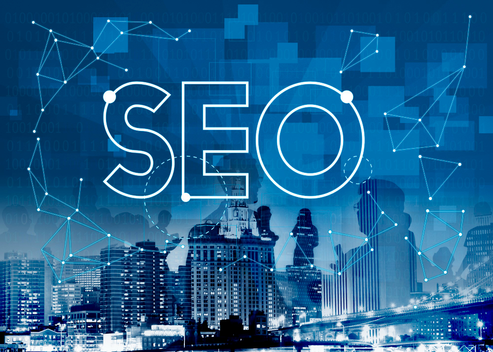 Red Deer SEO Expert