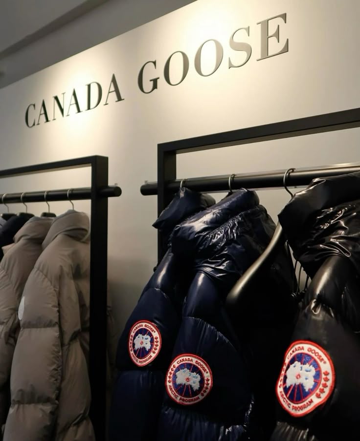 Innovation meets culture paragoose homme
