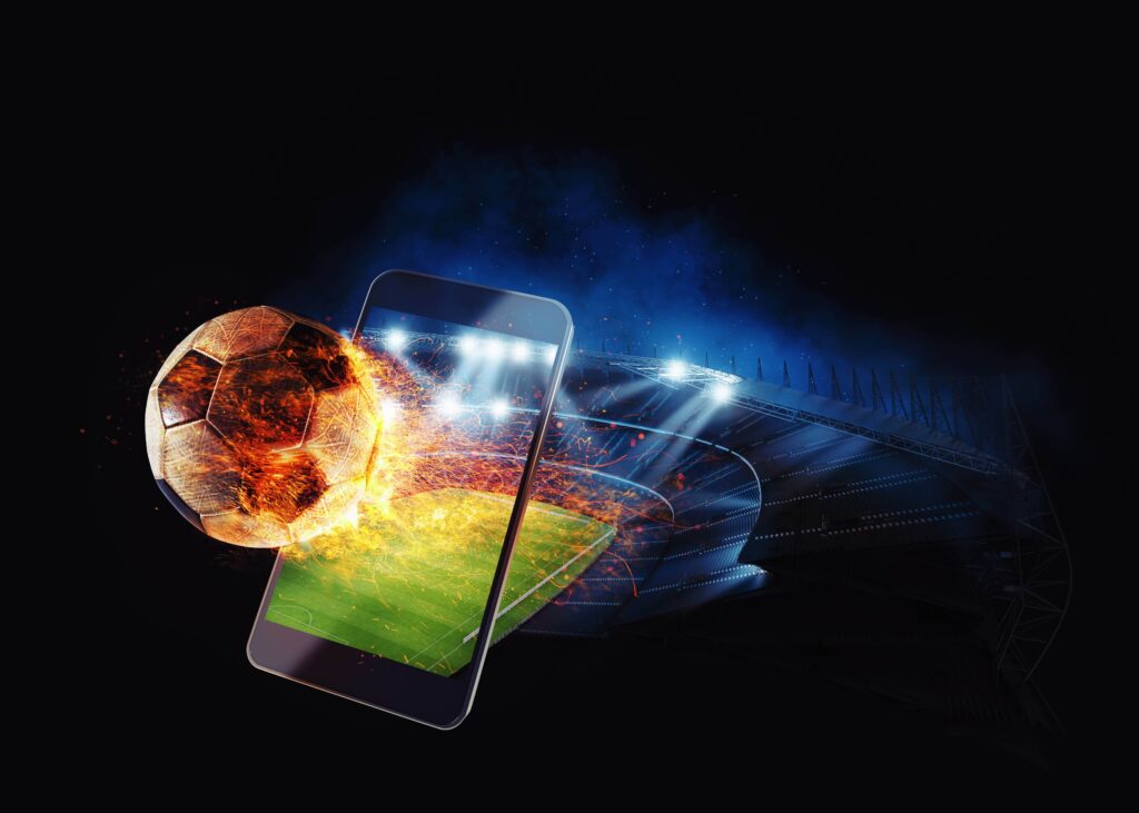 Sportsbook Software Provider
