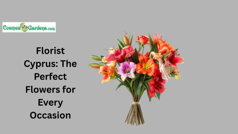 florist cyprus