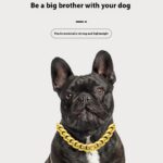Pet Necklaces