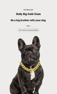 Pet Necklaces