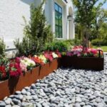 Landscape Installation in Austin